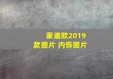 蒙迪欧2019款图片 内饰图片